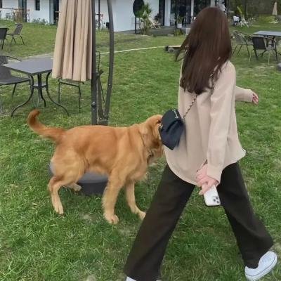我们的故宫